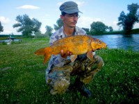 /album/fotogaleria/pista-koi-jpg/